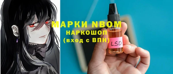 прущие грибы Беломорск