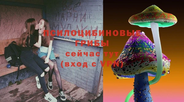 соль курить ск Богданович