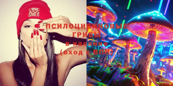 mix Белокуриха