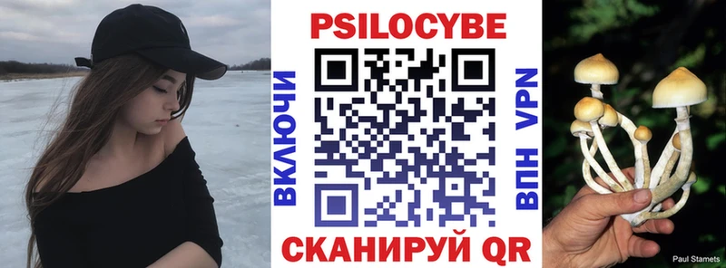 Галлюциногенные грибы Psilocybe  Мостовской 
